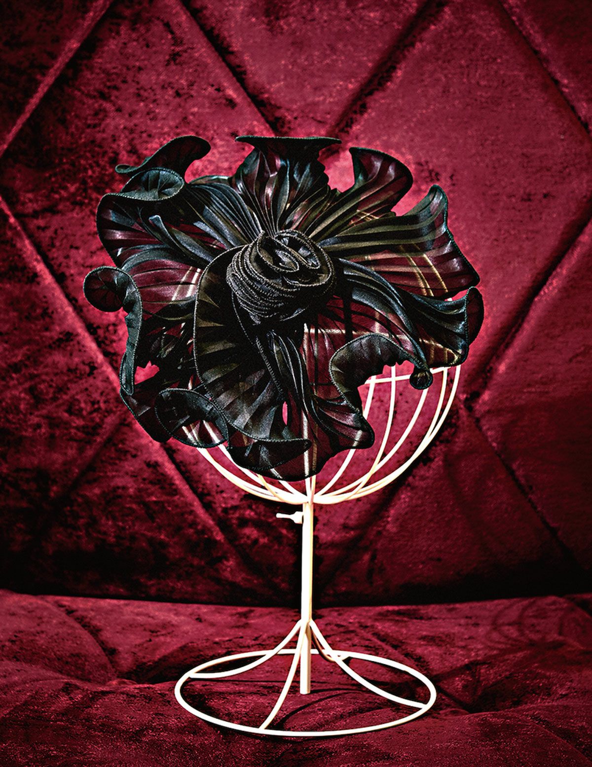 2025 AUTUMN & WINTER COLLECTION | ACCA